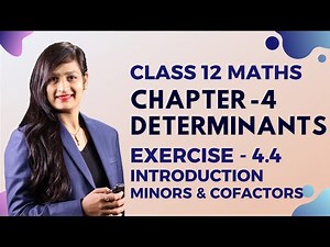 Class 12 Maths Chapter 4, Exercise - 4.4 (Introduction) | Determinants