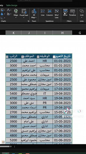طريقة استخدام فلتر احترافي في الاكسل
