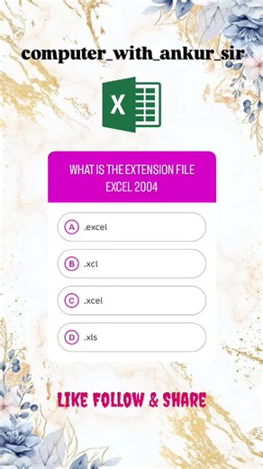 computer with ankur on Instagram: "What is the extension file excel 2004?"