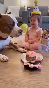 Happy birthday | Creative Hub
