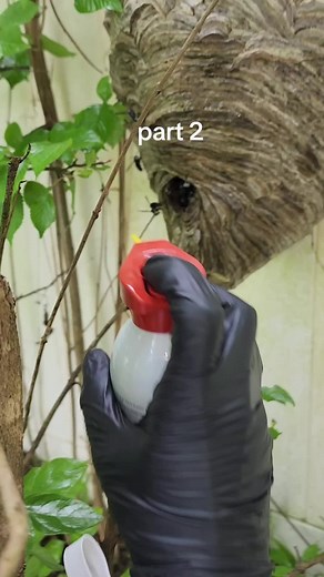 Robert Harko on TikTok