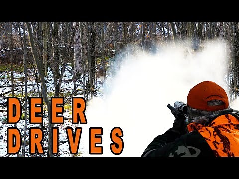 Muzzleloader Deer Drives | New York Deer Hunting