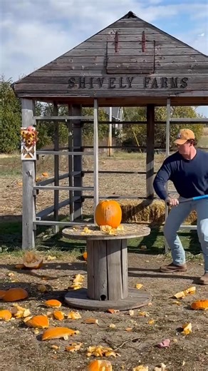 🎃 Smash 💥 tag us in your videos! Open until 6 pm. Closed Sunday due to weather. | Shively Farms