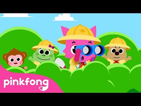 🐵 The Search for Baby Monkey's Family! | Animal Songs | Animal Cartoon | Pinkfong Songs for Children
