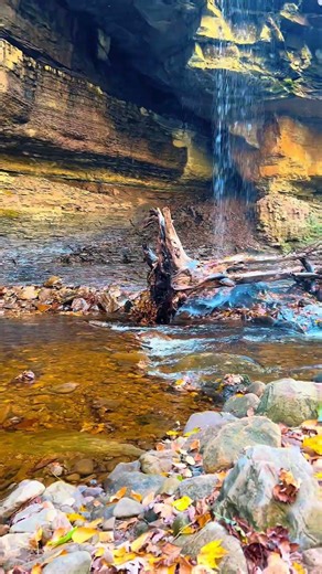 Unique double waterfall hidden in a remote forest in WV! 🌲🏔️