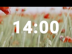 14 Minute Timer with Relaxing Music and Alarm, Countdown Clock for Stress Relief