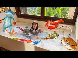 Ornamental Fish & Marine Animals Swimming in the Pool, Nemo Fish, Turtle, Squid, Frog, Whale, Shark