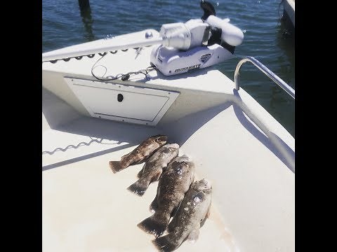 How to Use Minn Kota Trolling Motor to Anchor over Wrecks, April Tog Fishing