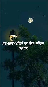 Pal Pal Dil Ke Paas | Kishore Kumar | Blackmail | Lyrics Video | Hindi Classic Song #lyrics #song