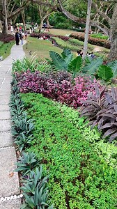 Beautiful eco park & arboretum digos city, davao del sur, philippines | Mr.jokins