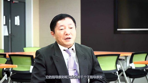 ICH100讲-002-ICH指导原则总论