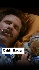 Baxter, you little gentleman 🎥 Anchorman now playing on Netflix | Netflix Is A Joke