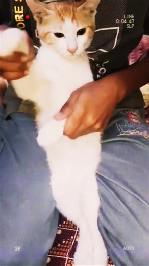 one two three four#short#shortsviralshortsviral