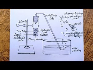How To Draw Reaction Of Zinc Granules With Dilute Sulphuric Acid And Testing Hydrogen Gas By Burning