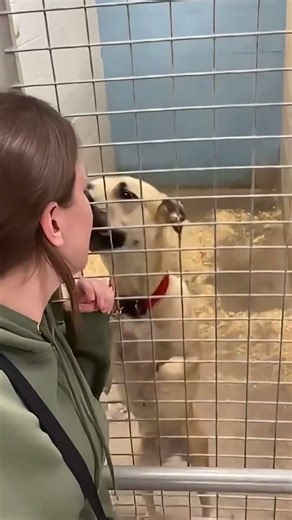 he thought it didn’t remember him…