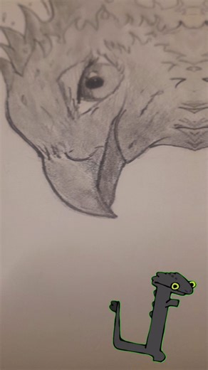 Drawing cartooning phoenix