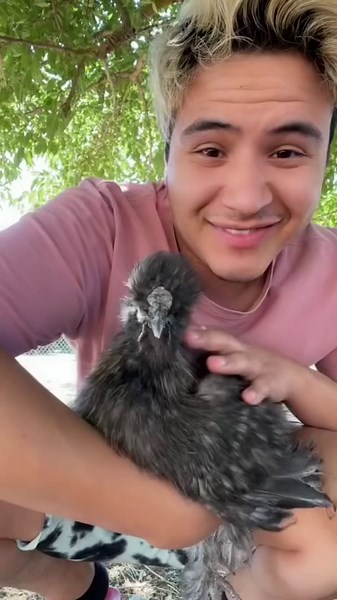 How to Hypnotize a Rooster Like a Pro