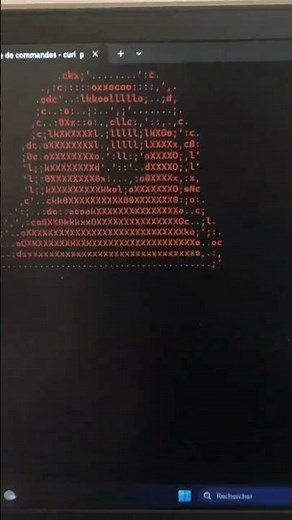 Les meilleurs comande CMD#2. Commande :curl parrot.live