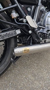 Python shorty | Apollo Garage