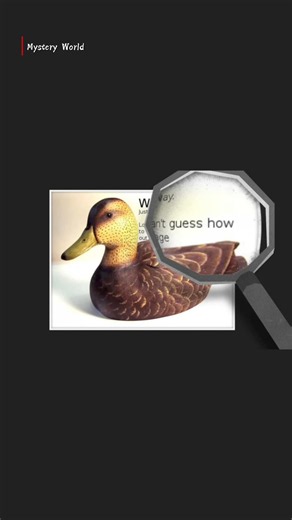 Nobody Knows Who Created This Puzzle | Cicada 3301