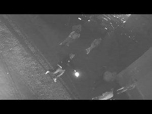 LiveLeak - Fatal Shooting Caught On Security Camera