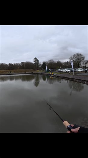 Expert Tips for Trout Fishing Success