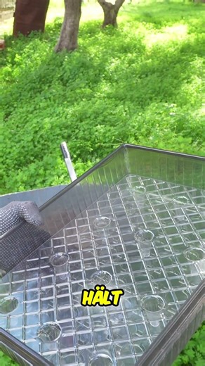 Stabile Anzuchtschalen: Dein Gärtner-Upgrade! #shorts