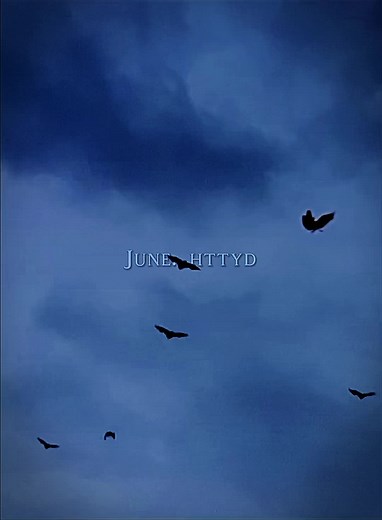 Toothless Flying with Bats - How Fast Can Toothless Fly?