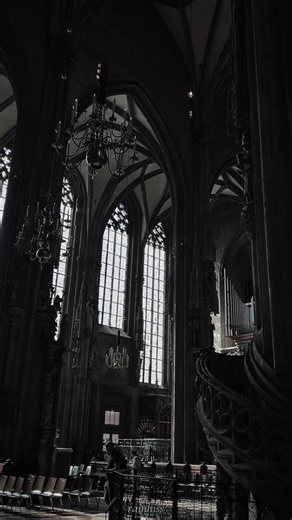Gothic Cathedral Requiem: Vienna Gothic Architecture Rainhiss