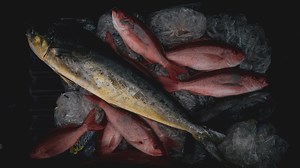 33 reactions | Epic offshore trips are in sight on-board the Open 352. This yacht certified vessel has enough room for you and your friends for a long day of fishing. Don't worry about storing your catch as the Open 352 has two large 234-quart insulated and macerated in-deck fish boxes. If the conditions are rough, you may equip yours with the Seakeeper 3 for a stable rock-solid fishing platform, even in the roughest of waters. | Sportsman Boats | Facebook