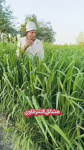 17 reactions · 211 shares | تخفيضات تخفيضات تخفيضات الى من يهمه...