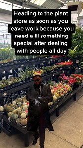 50K views · 1.8K reactions | Go get yourself a lil plant after work #gardening #plantcare #springgarden #seeds #garden #houseplants #crazyplantlady #plantroom #flowergarden #plantshopping #planthaul | The Thrifted Planter | Facebook