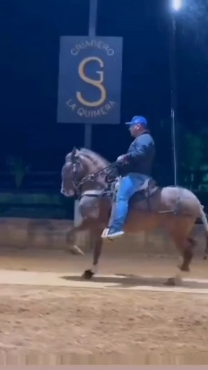Nighttime Horse Riding Skills with Grandeo La Quienza