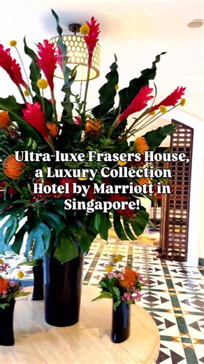 London History • Hidden Gems • Travel Creator on Instagram: "We stayed in the former InterContinental Singapore which has just rebranded as the ultra-luxe Frasers House, a Luxury Collection Hotel by Marriott! It is Located right in the heart of Bugis with convenient access to Bugis MRT ( metro ) and over 400 uniquely designed rooms and suites. We stayed in a suite with views of the pool! The hotel was exceptional, breakfast was lovely and cocktails exquisite. The hotel even did turn down in the 