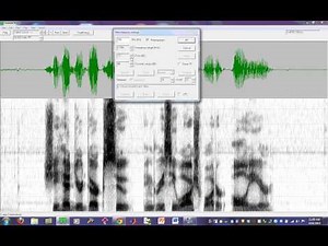 Tasko Speech Lab: Altering Spectrogram Settings in TF32