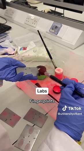 Studying Forensic Science: A Day in the Life on Campus