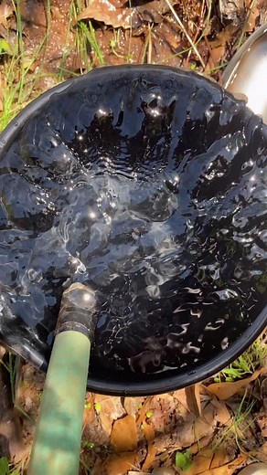 How to properly wash your skateboard