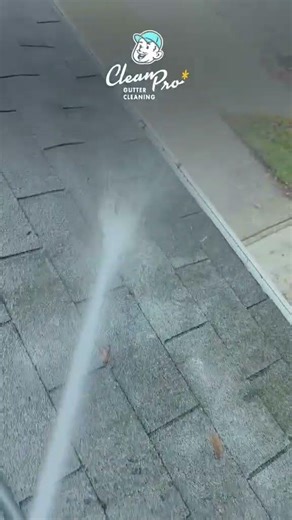Clean Gutter Pro Cleaning in Action