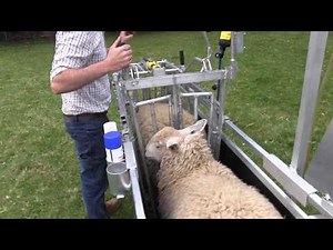 Rappa RaceWeigh Demonstration Video