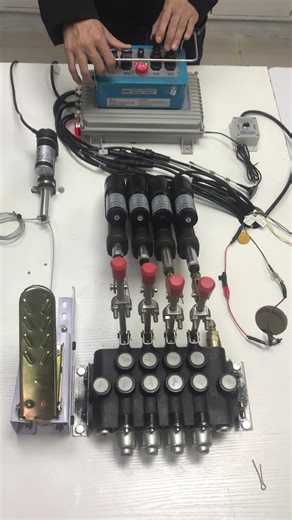 Crane Remote #crane #grúa #joysticks #radio #spider #crawler #drilling #Vinç #guindastes #kran #Vinç #XCMG #Palfinger #PM #FASSI #SANY #HIAB #zoomlion #EFFER #spidercrane #drilling #skidsteer