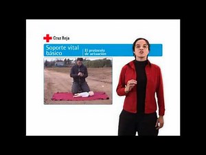 Guía de primeros auxilios. 03 Soporte vital básico. 03/13