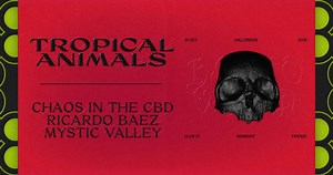 1.6K views | Tropical Animals on Reels | Facebook