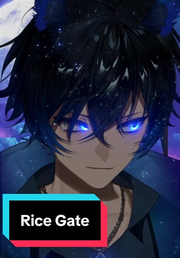 The Rice Gate story | don't worry, I drowned it in water after :) | #vtuber #cooking #vtuberclips #space #fail