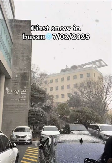 First Snow in Busan: A Winter Wonder in 30 Minutes