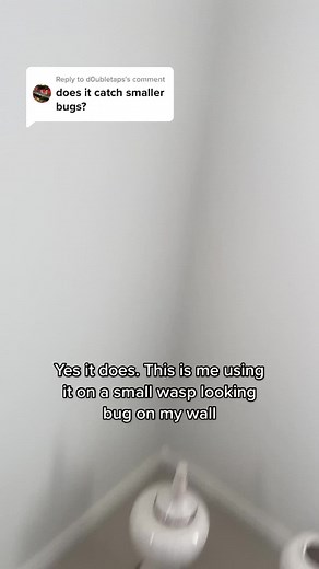 Bug Grabber Tool for Removing Insects from Walls