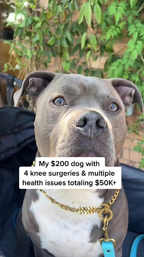 He’s worth it though 🥹🫶🏼 | Duke Benson