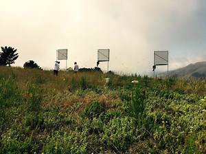 Fog Catchers Inspired By Trees #Biomimicry