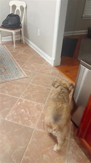 ruby little (@rubylittle18)’s videos with original sound - Joe Gunn