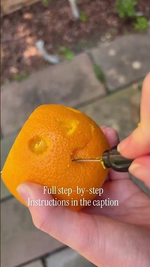 How To Make A Jack-O-Lantern Out Of An Orange 🎃🍊