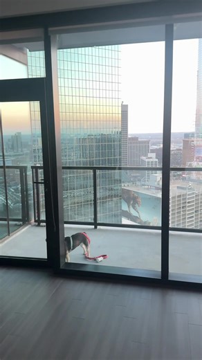 sunset in downtown #dallas #ecommerce #money #penthouse #sunset | sunset
